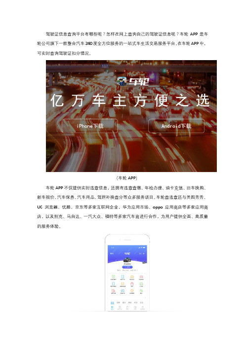 驾驶证信息查询