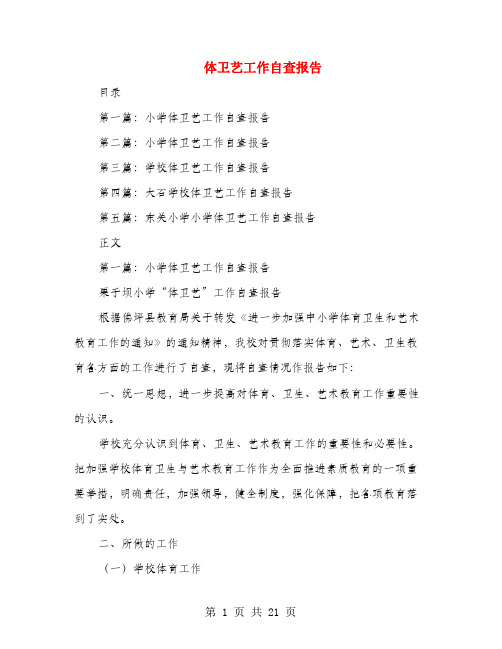 体卫艺工作自查报告(多篇范文)
