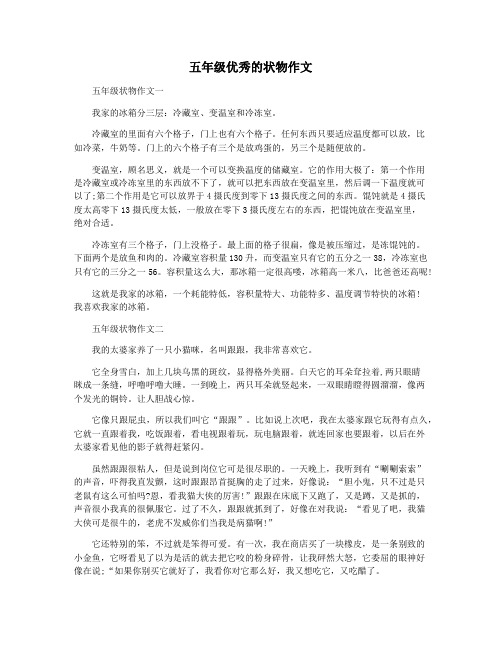 五年级优秀的状物作文
