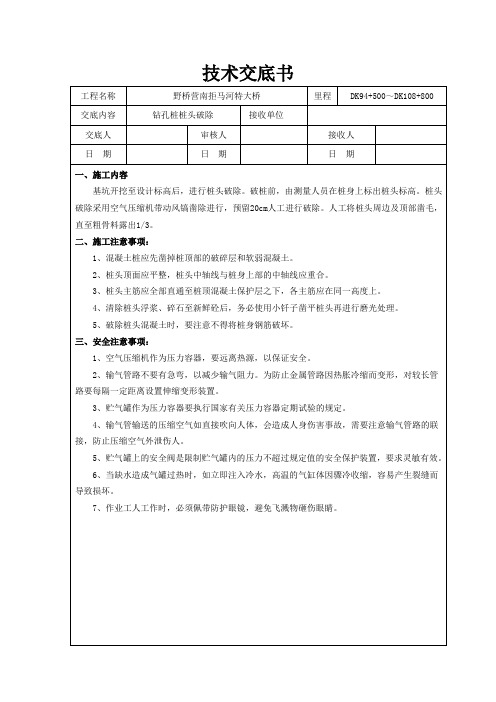 钻孔桩桩头破除