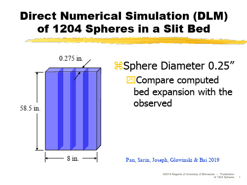 Direct Numerical Simulation (DLM) of 1204 Spheres in a ：直接数值模拟在一个1204球