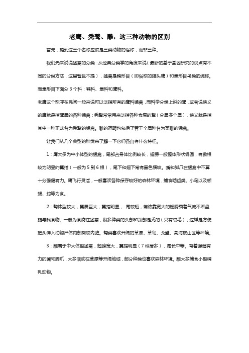老鹰、秃鹫、雕,这三种动物的区