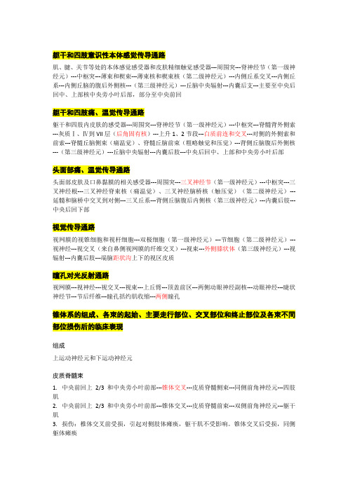 神经系统的传导通路