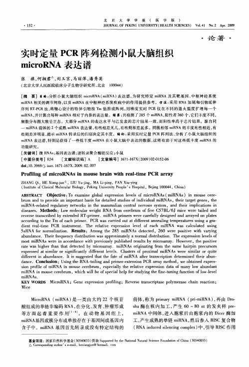 实时定量PCR阵列检测小鼠大脑组织microRNA表达谱