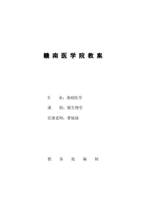 球菌1教案