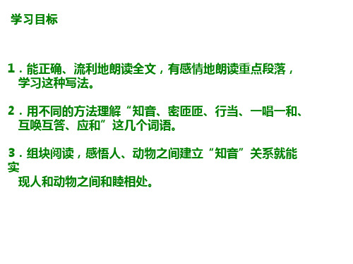 五年级语文知音(PPT)5-1