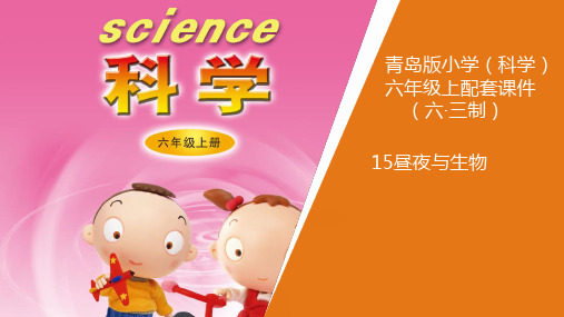 新青岛版小学科学六年制六年级上册15《昼夜与生物》教学课件