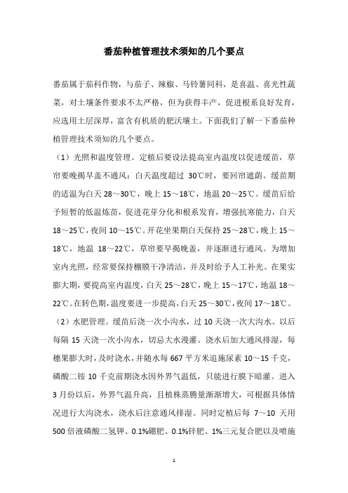 番茄种植管理技术须知的几个要点