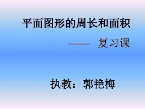 六年级《平面图形的周长和面积复习》课件PPT