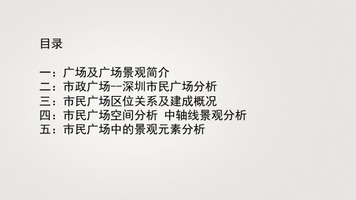 深圳市民广场景观分析  ppt课件