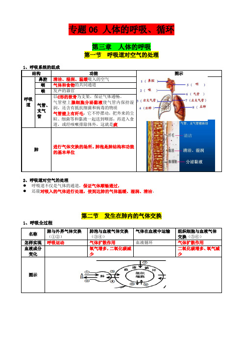 中考生物必背考点——专题06 人体的呼吸、循环