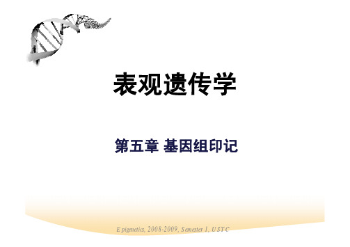 表观遗传学 基因组印记 