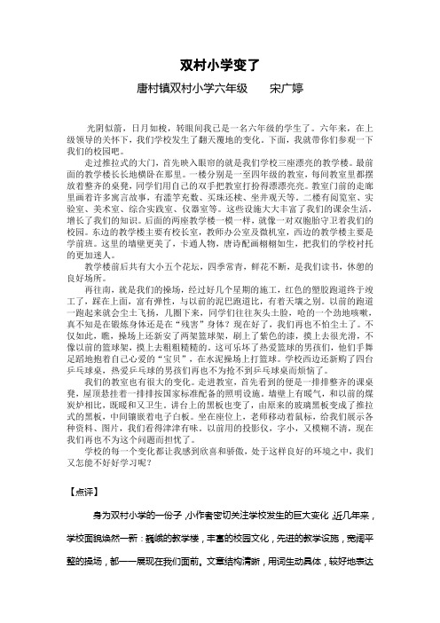 双村小学变了(六征文)