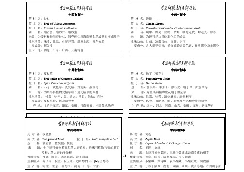中药材标签饮片排参考模板