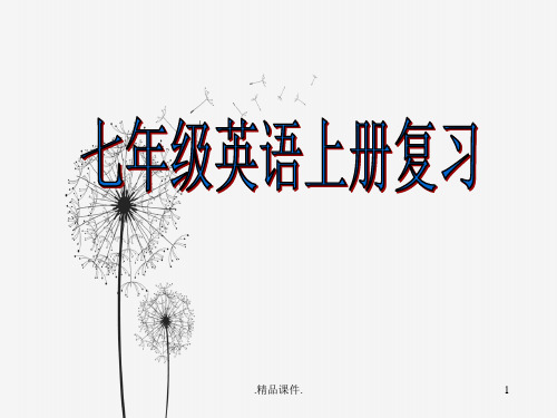 人教版新目标英语七年级(上)全册总复习课件培训资料