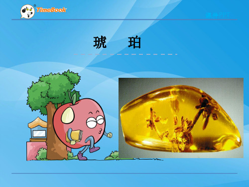 2016六下语文琥珀(北师大)语文课件PPT