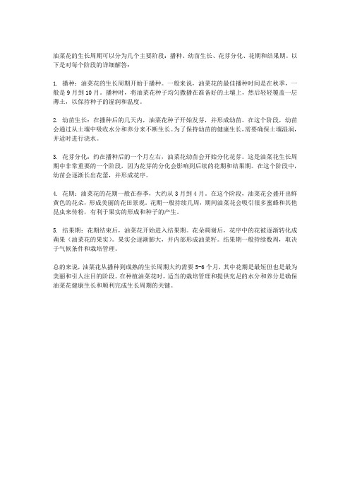 油菜花的生长周期