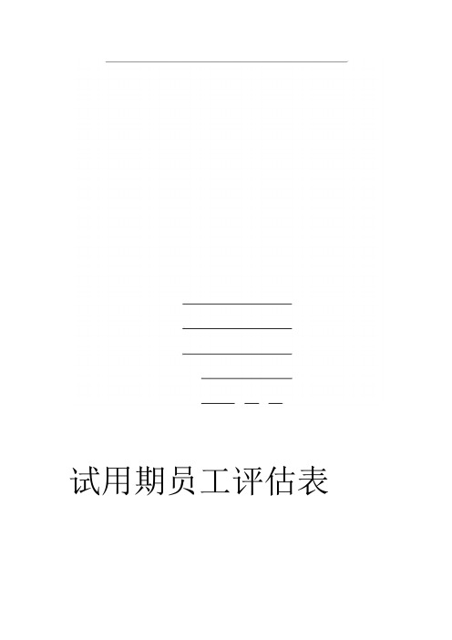 试用期员工评估表(新)