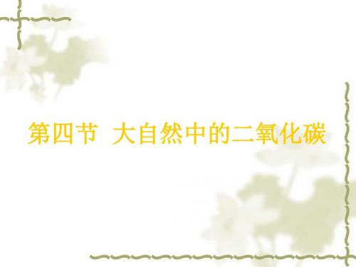 鲁教版九年级化学课件4.4 大自然中的二氧化碳1