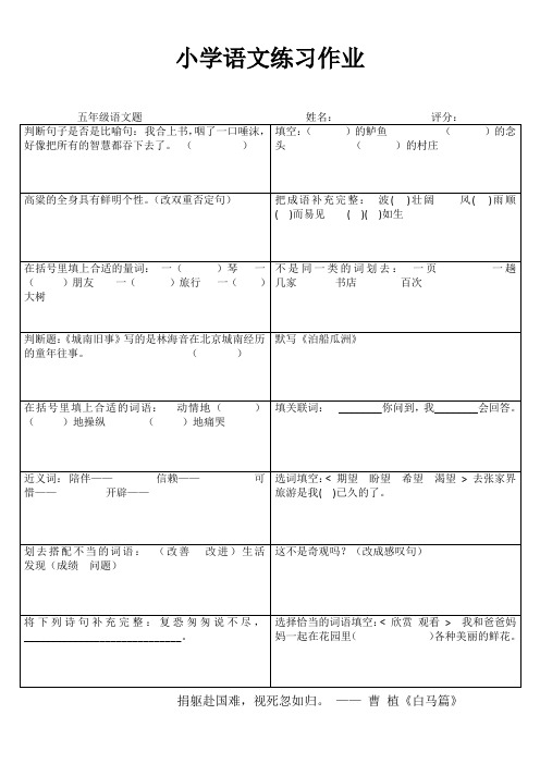 快乐语文随堂练 (16)
