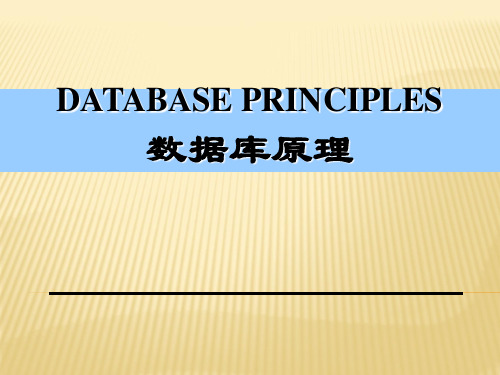 精品课程Database Principles数据库原理-PPT课件.ppt