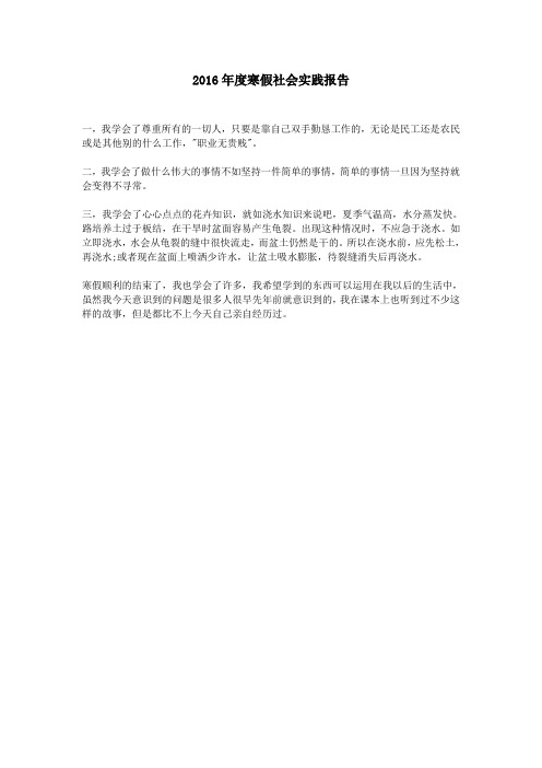 2016年度寒假社会实践报告
