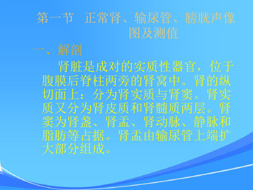 泌尿系统疾病的诊断