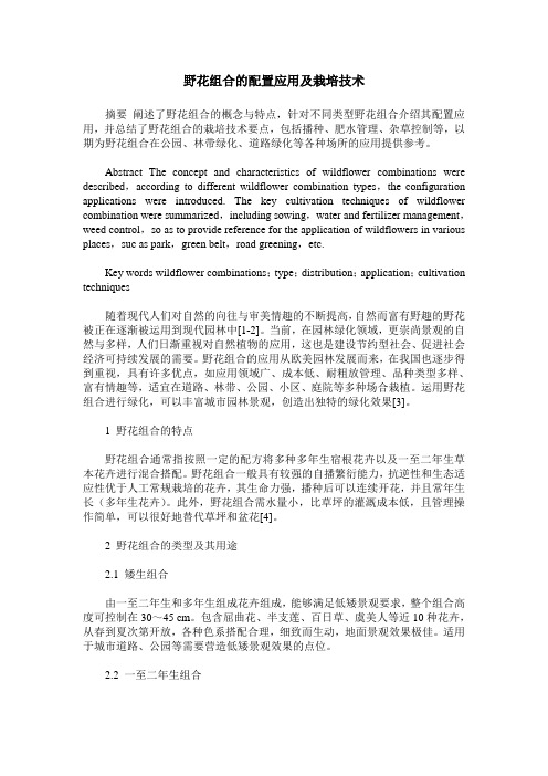 野花组合的配置应用及栽培技术