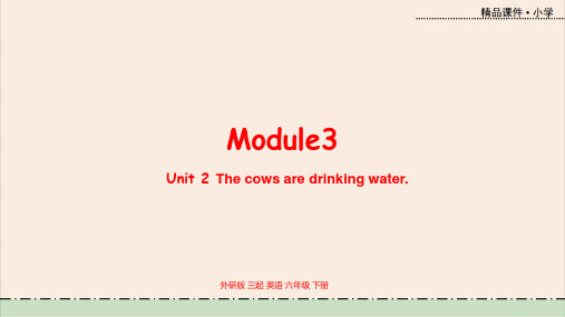 外研社三年级起点英语六年级下册教学课件 Module3 unit2
