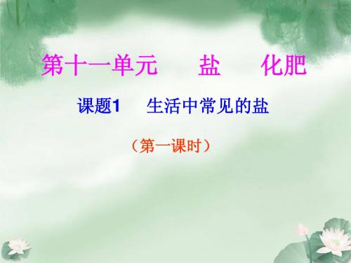 11.1 生活中常见的盐第一课时