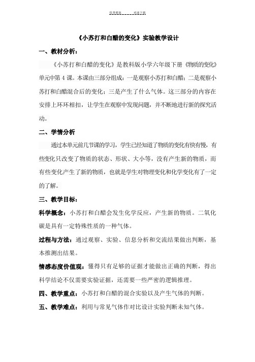 《小苏打和白醋的变化》教学设计