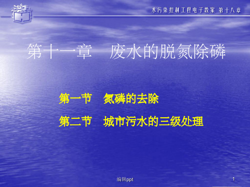 《废水脱氮除磷》PPT课件