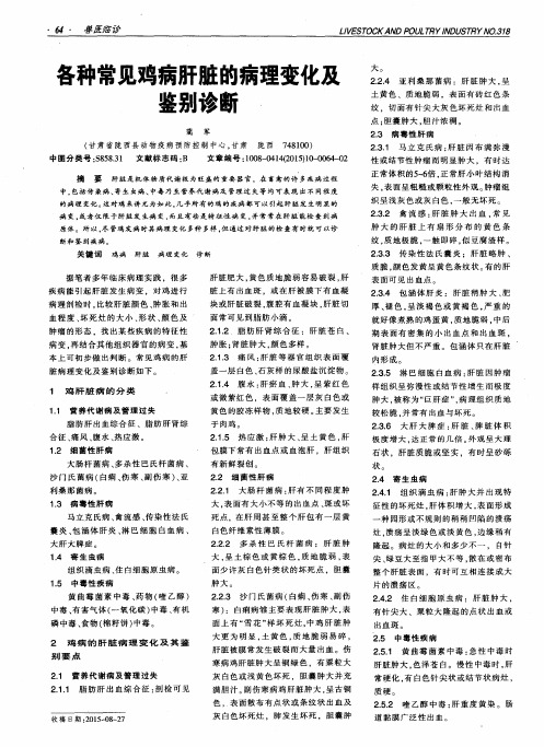 各种常见鸡病肝脏的病理变化及鉴别诊断