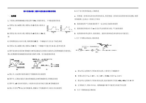 高中生物必修二遗传与进化综合训练含答案