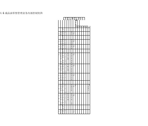 中国石化公司内部控制与业务流程汇总115个doc,4000071)