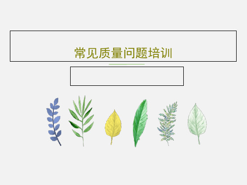 常见质量问题培训共98页