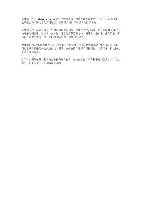 金叶榆的简介