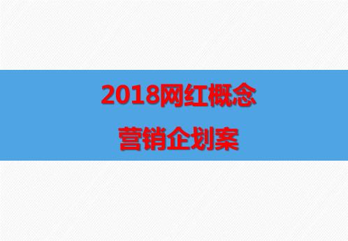 2018年网红概念营销企划案
