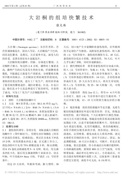 大岩桐的组培快繁技术
