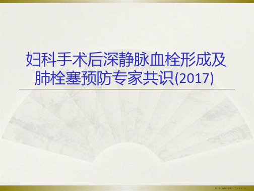 妇科手术后深静脉血栓形成及肺栓塞预防专家共识