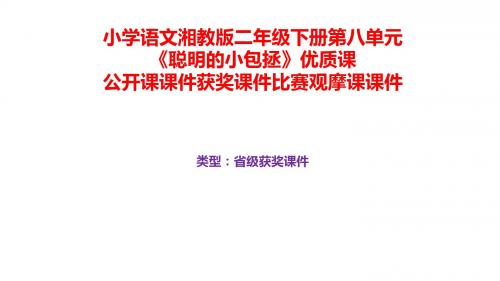 小学语文湘教版二年级下册第八单元《聪明的小包拯》优质课公开课课件获奖课件比赛观摩课课件B003