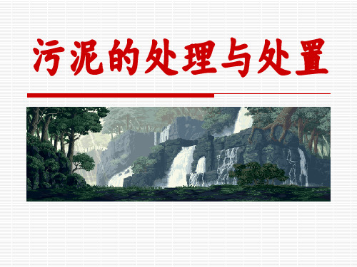 污泥的处理和处置