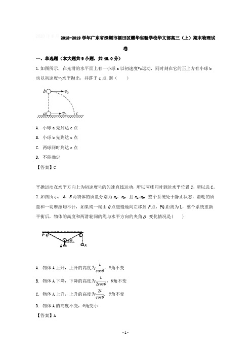广东省深圳市福田区耀华实验学校华文部2019届高三上学期期末考试物理试题含详解