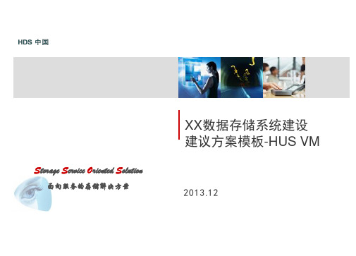 存储系统建设建议方案-HDS_HUS VM