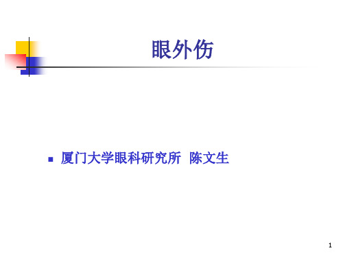 眼外伤8PPT课件