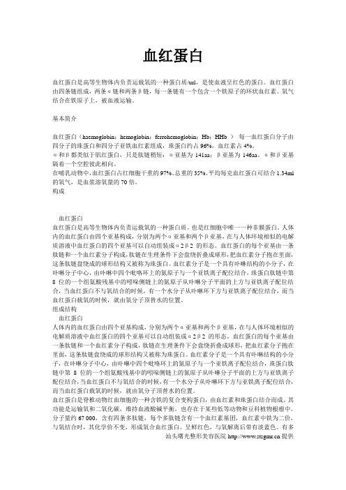 血红蛋白