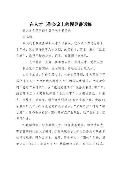 在人才工作会议上的领导讲话稿