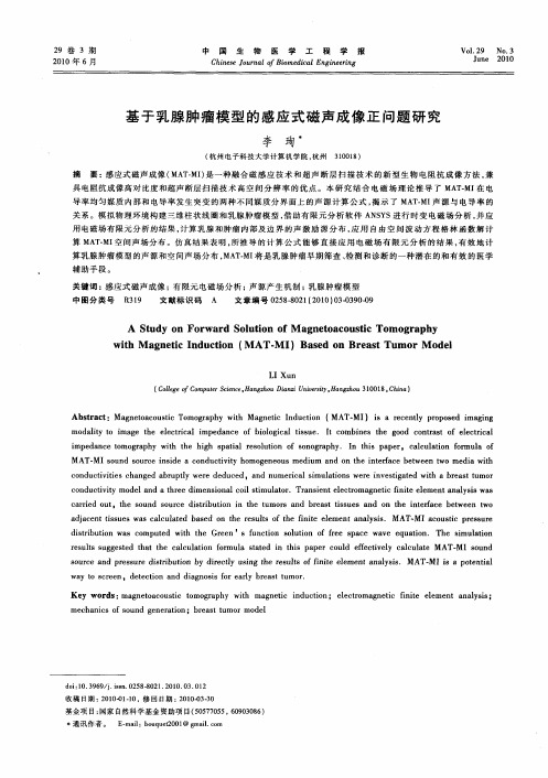 基于乳腺肿瘤模型的感应式磁声成像正问题研究