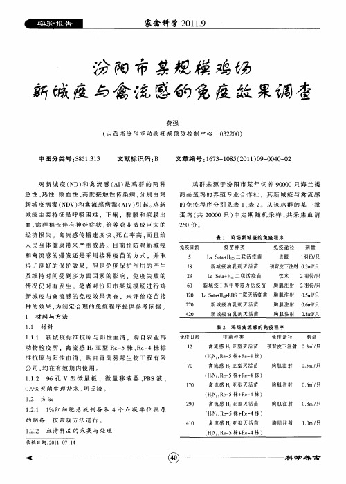 汾阳市某规模鸡场新城疫与禽流感的免疫效果调查
