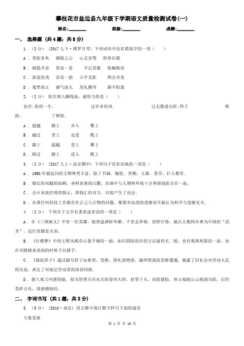 攀枝花市盐边县九年级下学期语文质量检测试卷(一)